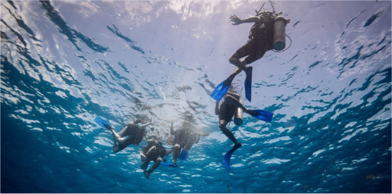 Playa del Carmen: Discover Scuba Diving - Who Should Consider This Tour?