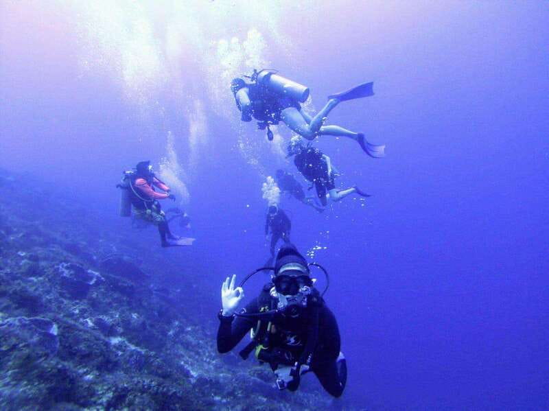 Playa del Carmen: Discover the Surreal World of Scuba Diving - Flexibility and Cancellation Options