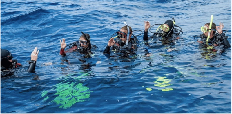 Playa del Carmen: Divemaster Course - Key Points