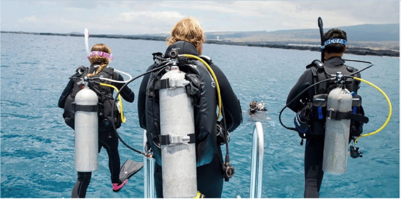 Playa del Carmen: Divemaster Course - Logistics and Course Schedule