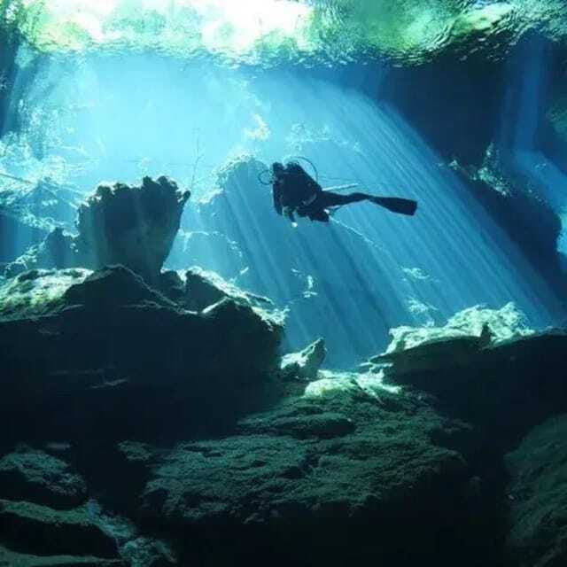 Playa del Carmen: Diving at Cenote Dos Ojos - Exploring the Two Cavern Circuits: Barbie Line and Bat Cave