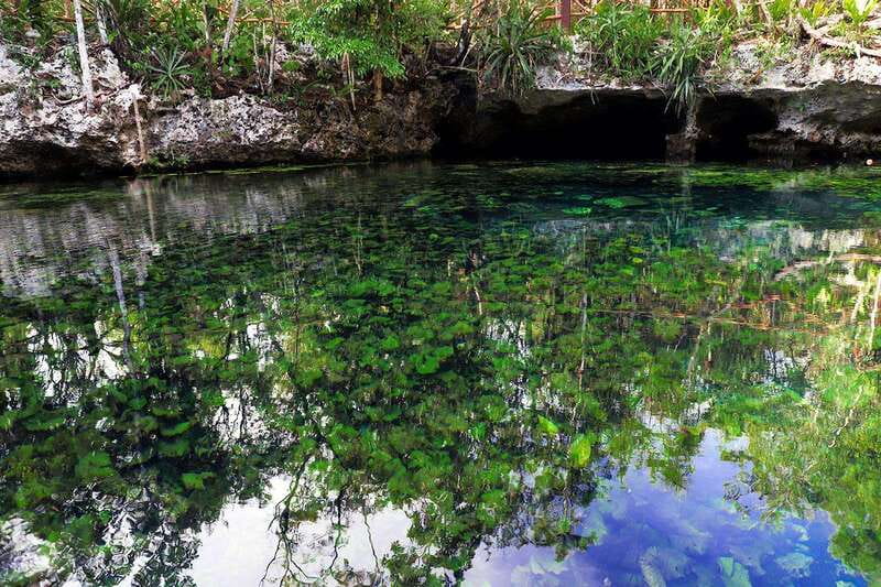 Playa del Carmen: Dual Realm Diving (Cenote + Reef Diving) - Discovering the Cenotes of Riviera Maya