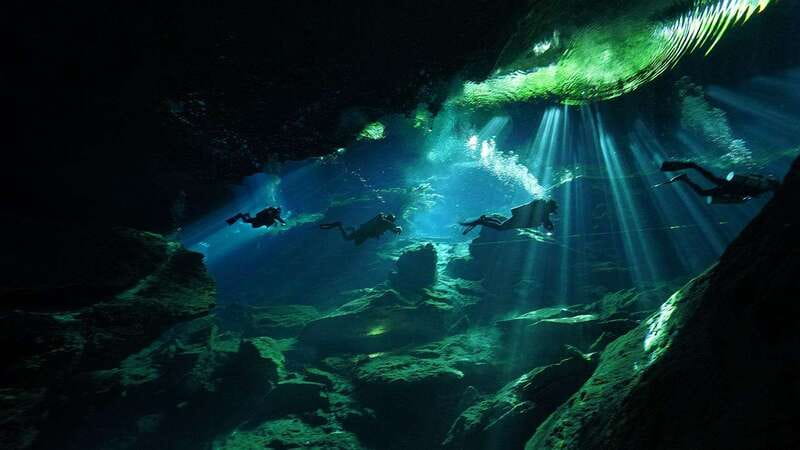 Playa del Carmen: Explore the Surreal World of Cenote Diving - How the Tour Starts at My Private Dives Downtown Location