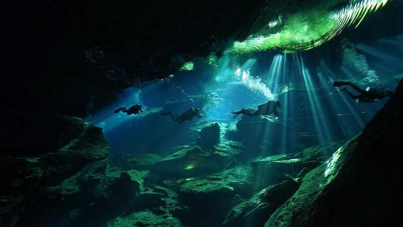 Playa del Carmen: Explore the Surreal World of Cenote Diving - What to Expect During the Dives and Surface Interval