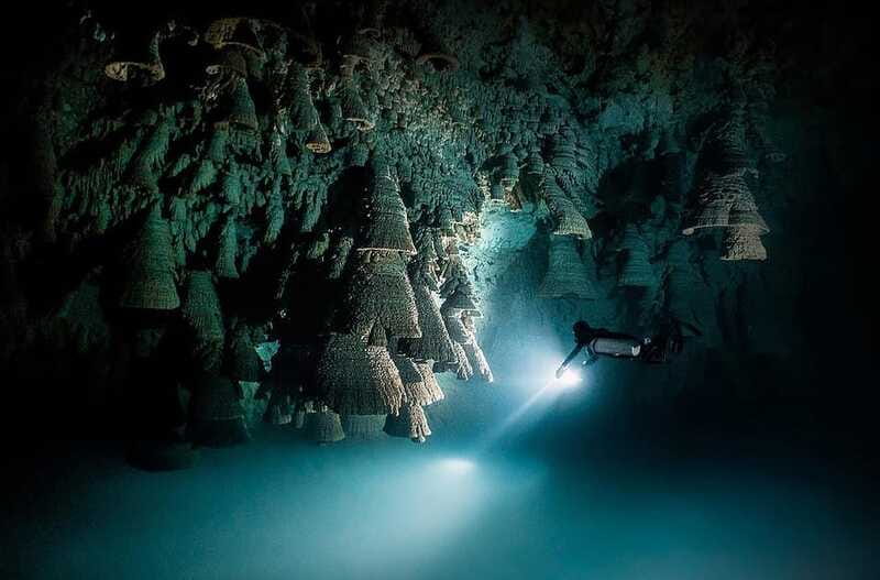 Playa del Carmen: Explore the Surreal World of Cenote Diving - The Experience Provider: My Private Dive