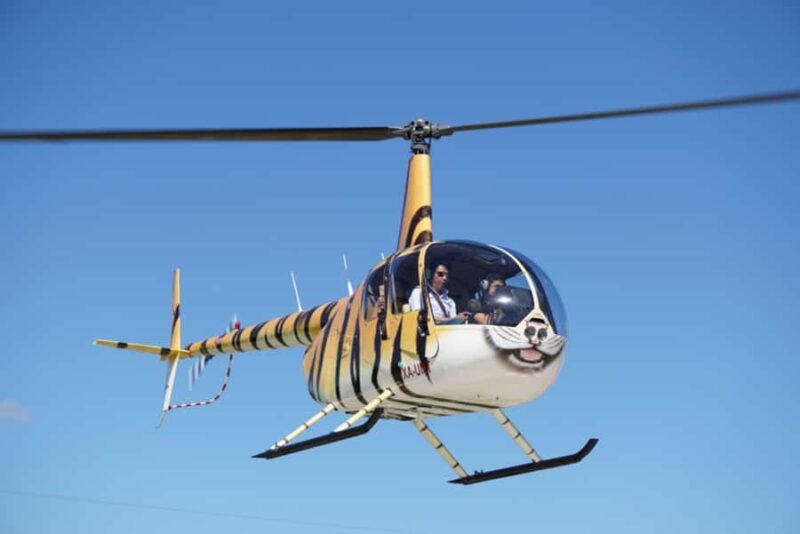 Playa del Carmen: Helicopter Tour - Departure Point at Puerto Morelos