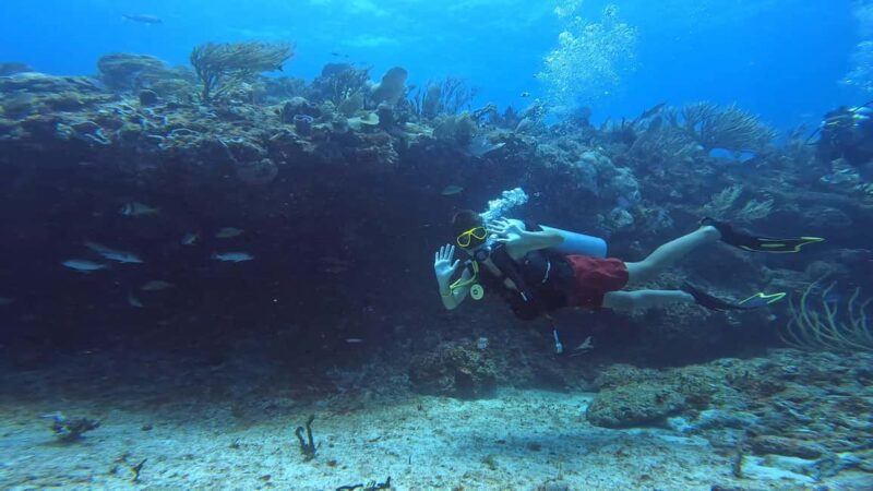 Playa del Carmen: Introductory Scuba Diving at Coral Reefs - Discover Playa del Carmens Coral Reef Underwater World for Beginners