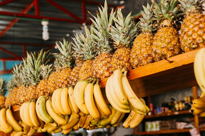 Playa del Carmen Mexican Cooking Class - The Cultural and Historical Insights Shared by Chef Alma