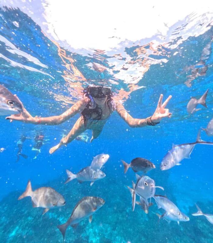 Playa del Carmen: On Board to Cozumel Tour with Lunch - El Cielo Beach: Relaxing in Shallow Turquoise Waters