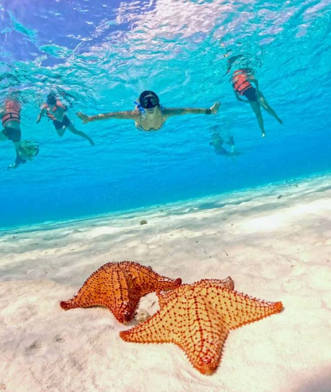 Playa del Carmen: On Board to Cozumel Tour with Lunch - Comfortable Transportation and Flexible Schedule