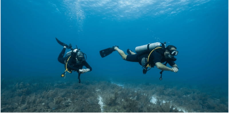 Playa del Carmen: Open Water Diver Course - The Flexibility of Booking and Cancellation Policies