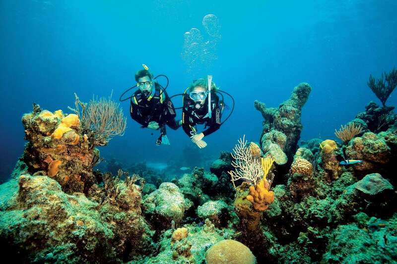 Playa del Carmen: PADI Advance Open Water in Riviera Maya - The Dives: What You Will Experience