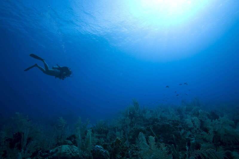 Playa del Carmen: PADI Advance Open Water in Riviera Maya - The Role of the Private Instructor