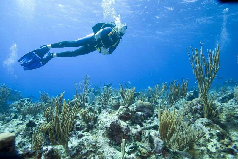 Playa del Carmen: PADI Advance Open Water in Riviera Maya - What to Prepare Before the Course