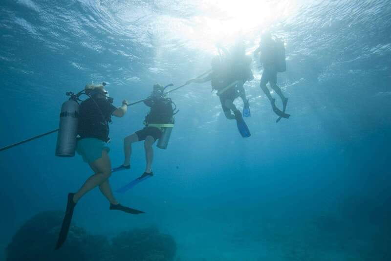 Playa del Carmen: PADI Advance Open Water in Riviera Maya - Experience Environment and Safety Measures