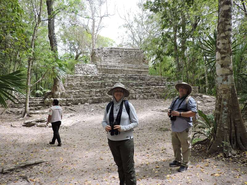 Playa del Carmen: Private Morning Birdwatching Tour - Suitable for Nature Lovers and Bird Enthusiasts