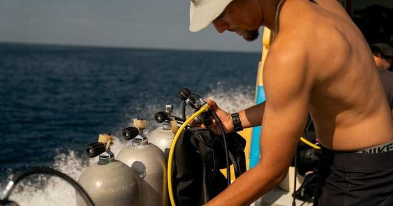 Playa del Carmen: Refresher Dive - Logistics and Scheduling: When and How the Tour Operates