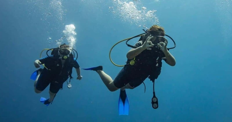 Playa del Carmen: Refresher Dive - What Sets This Tour Apart in Playa del Carmen