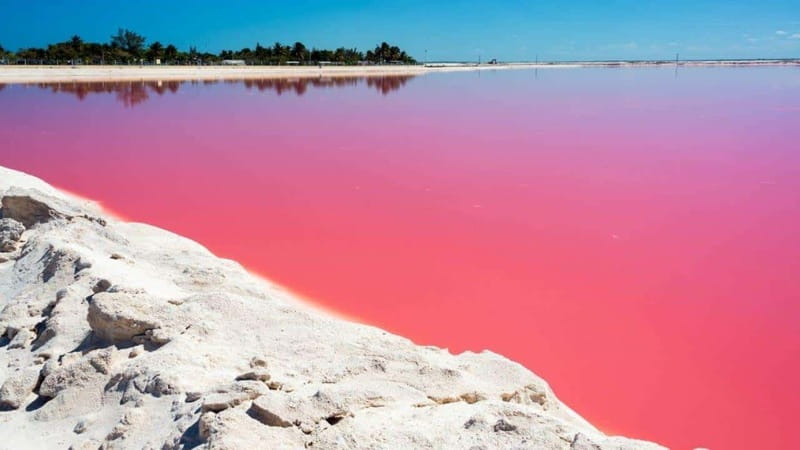 Playa del Carmen: Rio Lagartos and Las Coloradas Tour - Las Coloradas: The Pink Salt Lakes and Salt Production
