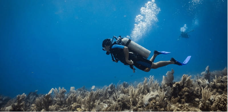 Playa del Carmen: Scuba Diver Certification Course - Costs and Additional Fees to Keep in Mind