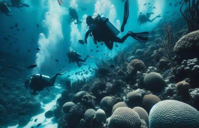 Playa del Carmen: Scuba Diving for certified divers - Explore the Vibrant Marine Life of Playa del Carmens Reef for Just $25
