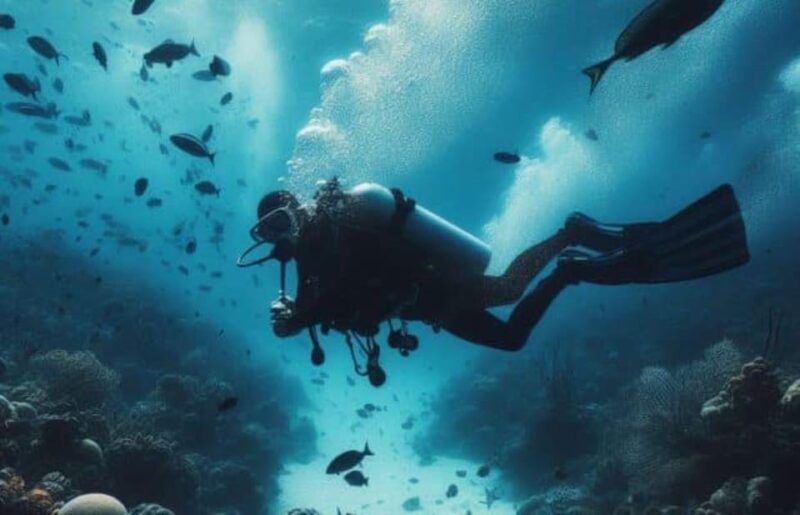 Playa del Carmen: Scuba Diving for certified divers - Key Points