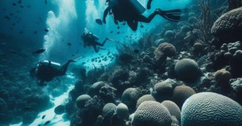 Playa del Carmen: Scuba Diving for certified divers - Discover the Breathtaking Coral Reefs of Playa del Carmen