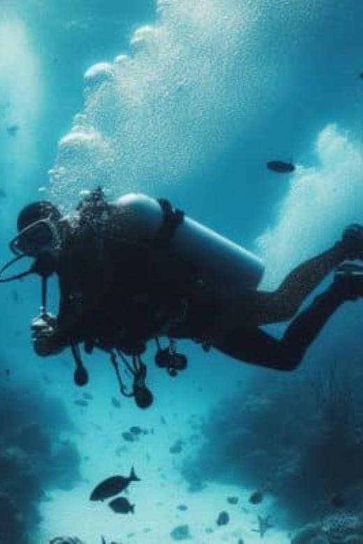 Playa del Carmen: Scuba Diving for certified divers - Practical Tips for a Great Dive Experience