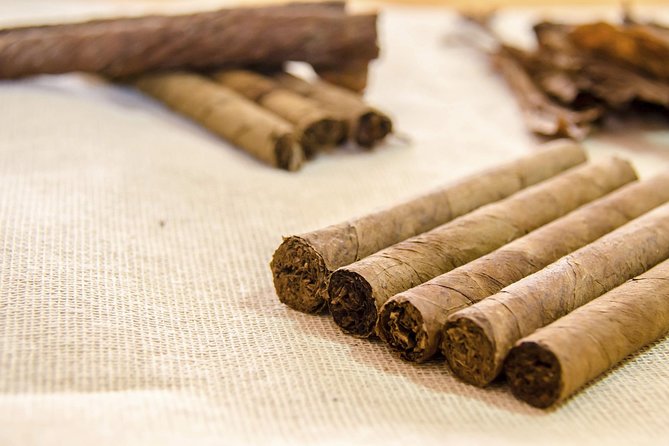 Playa del Carmen Shopping Tour Fifth Avenue and Mamitas Beach Club - Practical Tips and Considerations for Participants