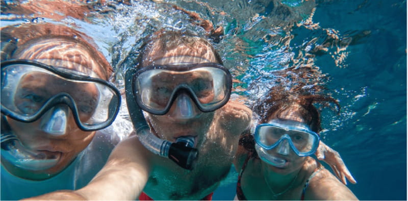 Playa del Carmen: Snorkel Tour at Local Reef - Discover the Vibrant Marine Life of Playa del Carmen’s Local Reef