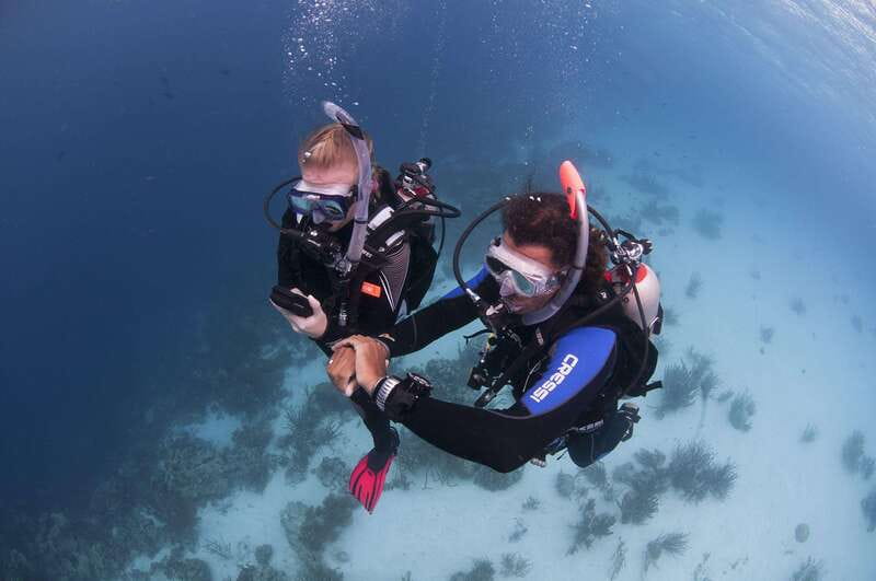 Playa del Carmen: Ultimate PADI Open Water Diver Experience - Explore the Underwater World with the Playa del Carmen PADI Open Water Diver Course