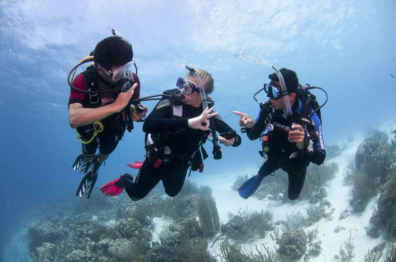 Playa del Carmen: Ultimate PADI Open Water Diver Experience - Key Points