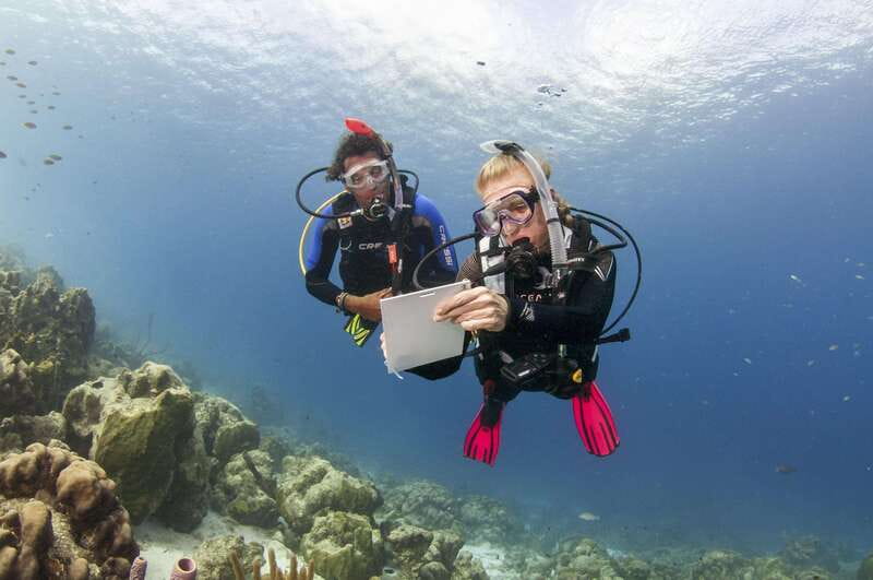 Playa del Carmen: Ultimate PADI Open Water Diver Experience - The PADI eLearning Advantage for Flexibility and Convenience
