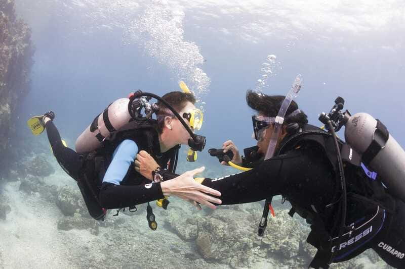 Playa del Carmen: Ultimate PADI Open Water Diver Experience - Marine Park Fees and Environmental Considerations