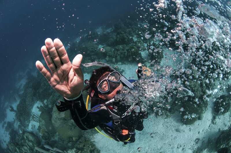 Playa del Carmen: Ultimate PADI Open Water Diver Experience - Important Requirements and Participant Suitability