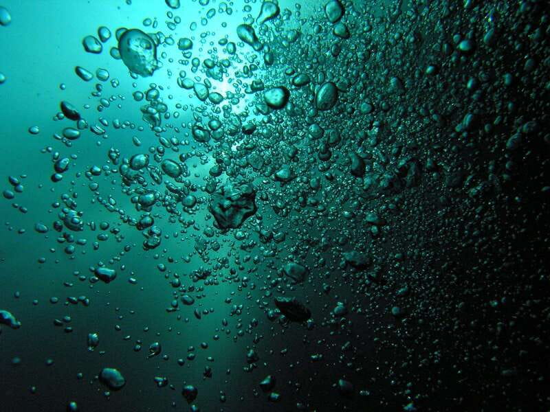 Playa del Carmen: Unforgettable Dive @ Cenote Chikin Ha - The Experience of Diving in Cenote Chikin Ha