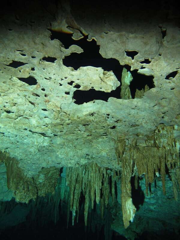 Playa del Carmen: Unforgettable Dive @ Cenote Chikin Ha - Logistics: Meeting, Pacing, and Group Size