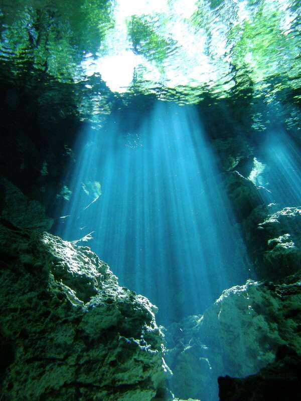 Playa del Carmen: Unforgettable Dive @ Cenote Chikin Ha - Playa del Carmen: The Perfect Launch Point for Cenote Adventures