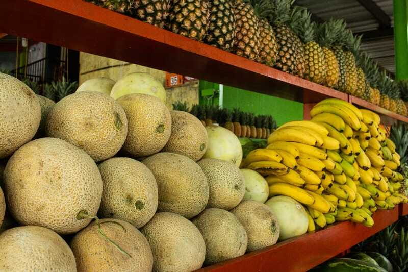 Playa del Carmen: Vegan Food Walking Tour - Playa del Carmens Vegan Food Journey Starts at the Meeting Point