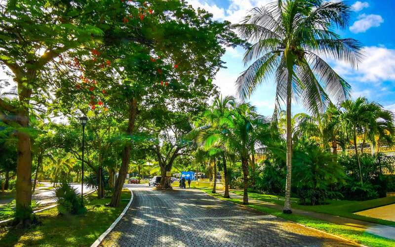 Playa Del Carmens Historical Treasures: A Walking Tour - Art Appreciation at Gastón Charó Gallery