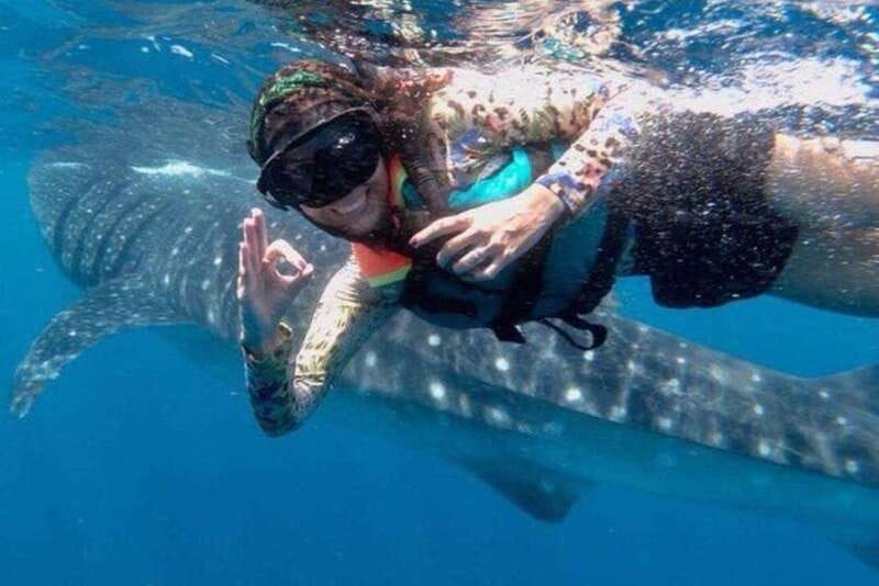 Playa del Carmen:Whale shark Experience in the Caribbean Sea - The Speedboat Ride: A 36-Foot Adventure on the Caribbean Waters