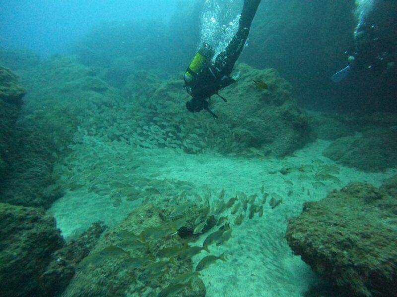 Playa Del Ingles: Discover Scuba Diving - Free Transfers - The Scenic Drive to Tufia: A Picturesque Coastal Village