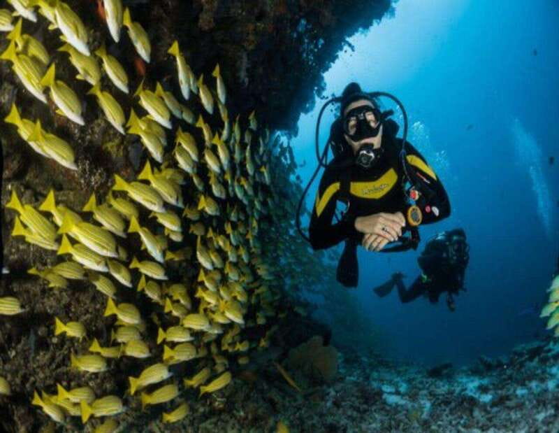 Playa: Dive in Cozumel - How This Tour Highlights the Mesoamerican Reef