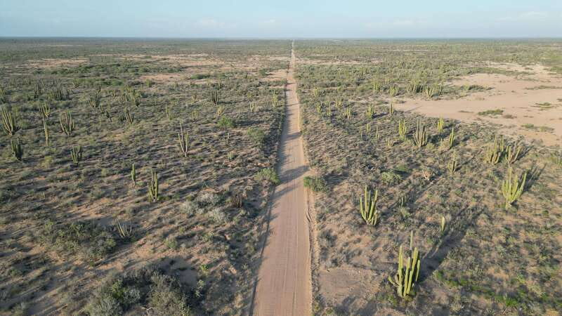 Playa el Cardonal: tour and sandboarding activity in the dunes of Sahuimaro - Exploring the Dunes of Sahuimaro