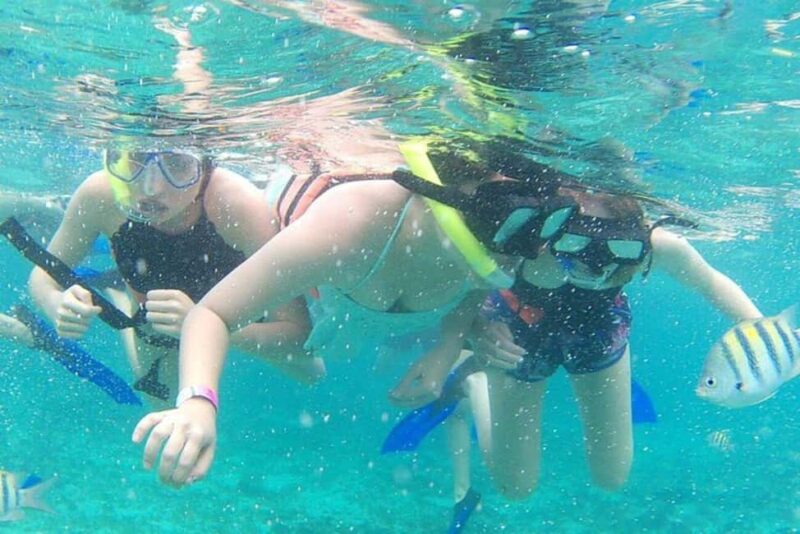 Playa Mujeres: Private Yacht Rental - 4hr SR55H4 #GMBSR55FUN - Onboard Beverages, Snacks, and Equipment