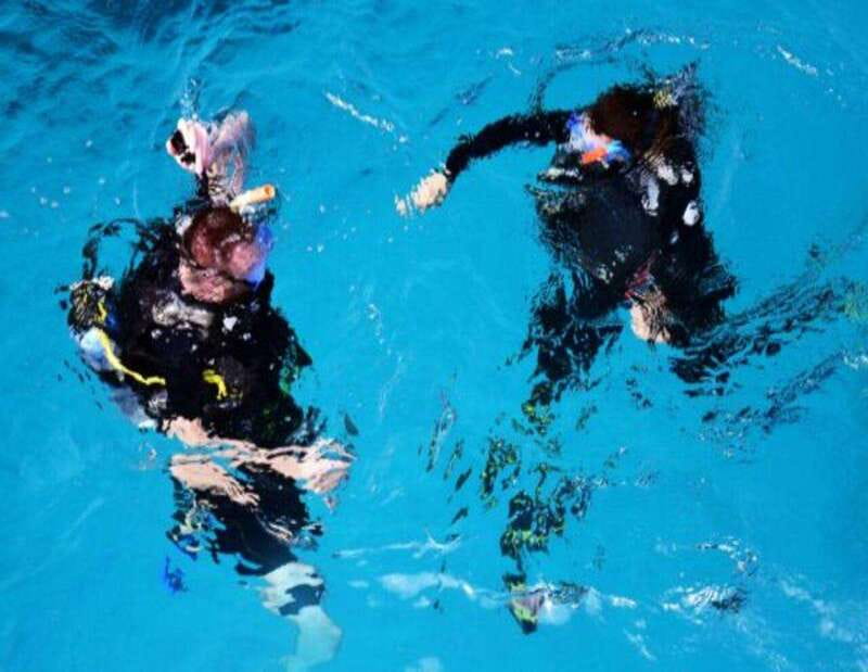 Playa: PADI Scuba Diver - Coral Reef Dives: Exploring the Mexican Caribbean