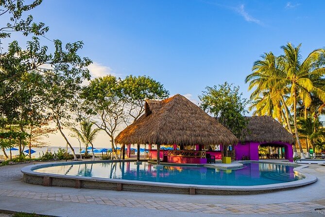 Playa Uvas Open Bar Exclusive Pass - Relaxing in the Pool, Hammocks, and Lounge Areas