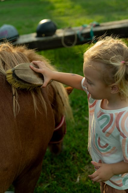 Playful Activities with Animals - Playful Activities with Animals in Piedmont, Italy: A Heartwarming Nature Encounter for $28