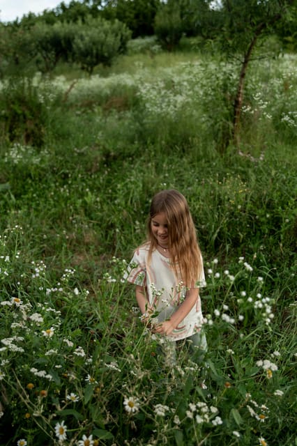 Playful Activities with Animals - Comparing Similar Experiences in the Region