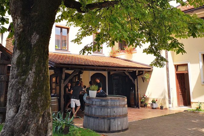 Plesivica countryside Wine Tasting - Key Points